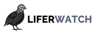 LiferWatch Logo